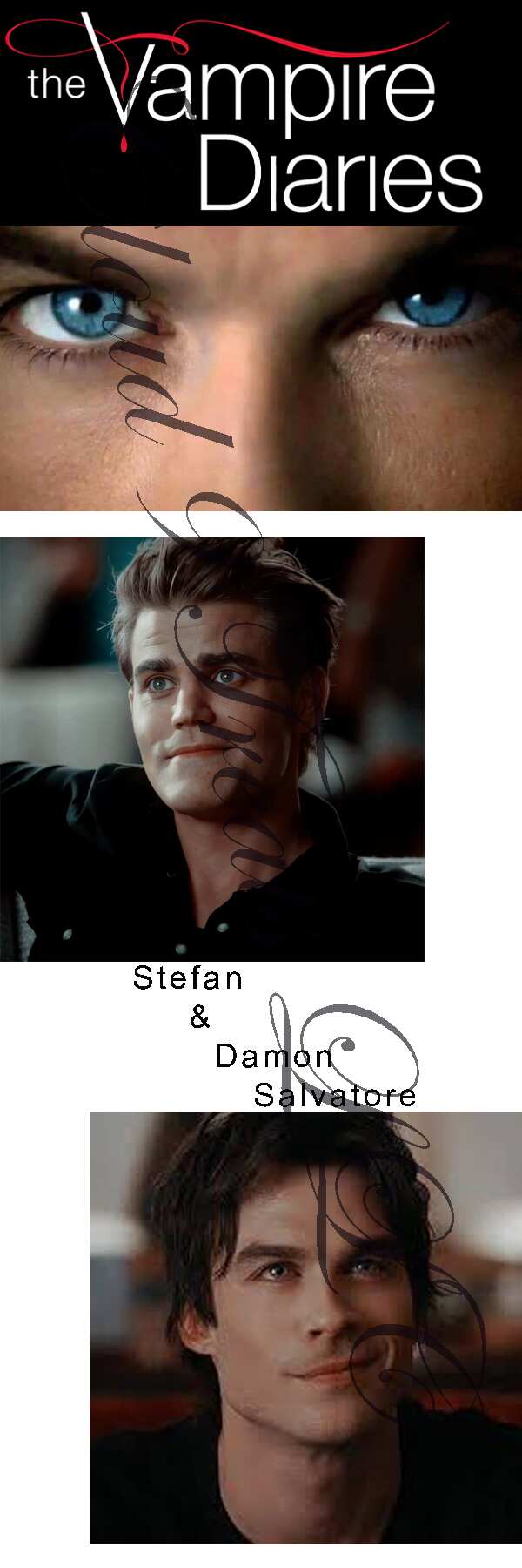 Stefan and Damon Salvatore: The Vampire Diaries Bookmark